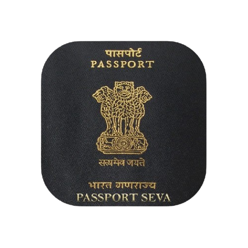 Passport Verification Status